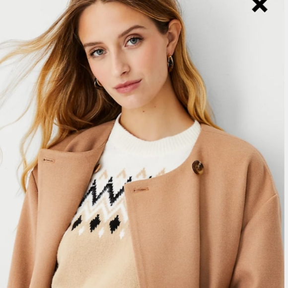 NWOT $258 Ann Taylor Size Large Wool Blend Oversized Crew Neck Coat Tan - Picture 3 of 11